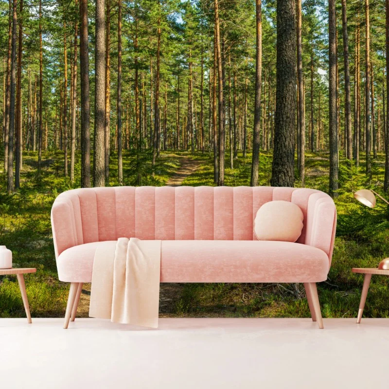 Fototapeta słoneczna ścieżka w lesie sosnowym – Wallissimo® Fototapeta słoneczna ścieżka w lesie sosnowym – Wallissimo®