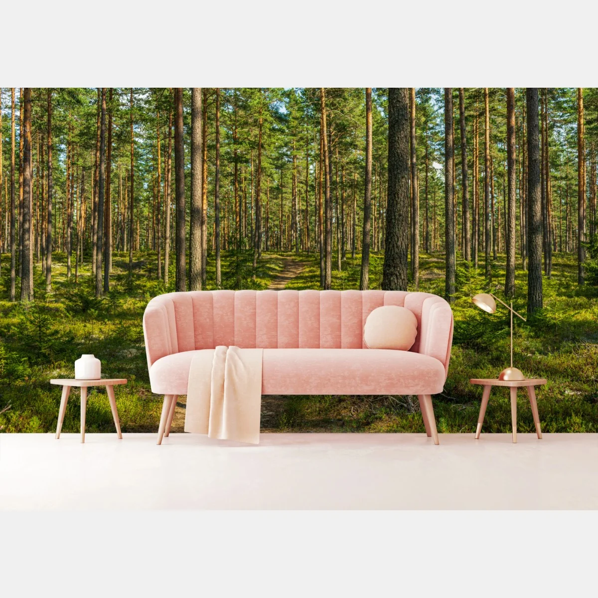 Fototapeta słoneczna ścieżka w lesie sosnowym – Wallissimo® Fototapeta słoneczna ścieżka w lesie sosnowym – Wallissimo®