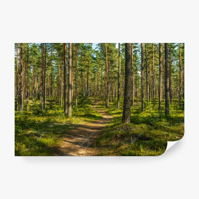 Fototapeta luksusowy złoty wzór kwiatowy na ciemnym tle – Wallissimo®