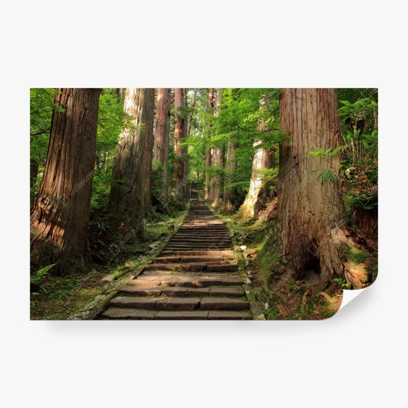 Fototapeta alpejska wiosenna łąka pod śnieżnymi szczytami – Wallissimo®