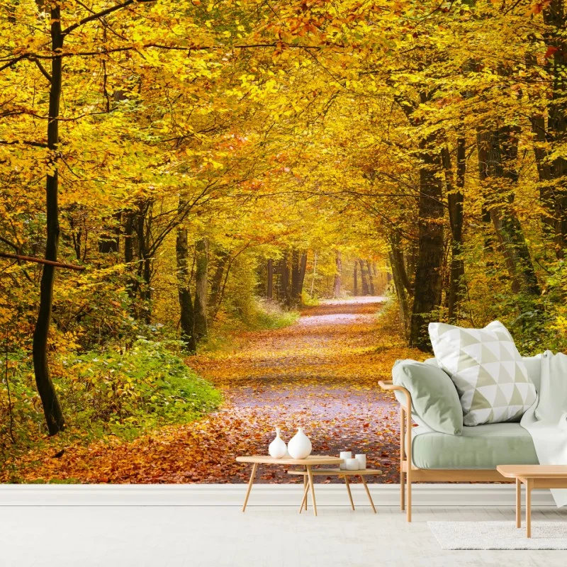 Fototapeta złota jesienna ścieżka w lesie – Wallissimo® Fototapeta złota jesienna ścieżka w lesie – Wallissimo®