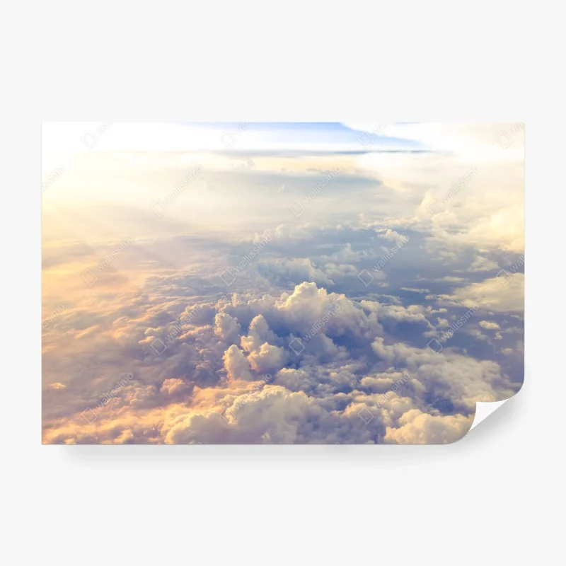 Fototapeta ręcznie rysowany wzór róż – Wallissimo®