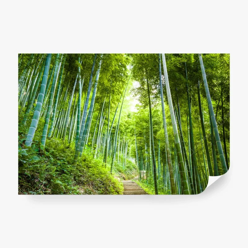 Fototapeta odważne geometryczne linie – Wallissimo®