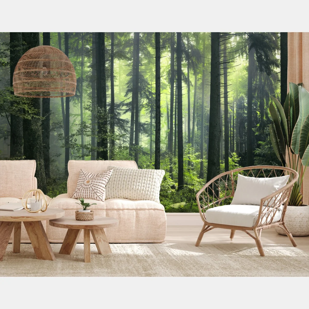 Fototapeta tajemniczy zielony wiosenny las – Wallissimo® Fototapeta tajemniczy zielony wiosenny las – Wallissimo®