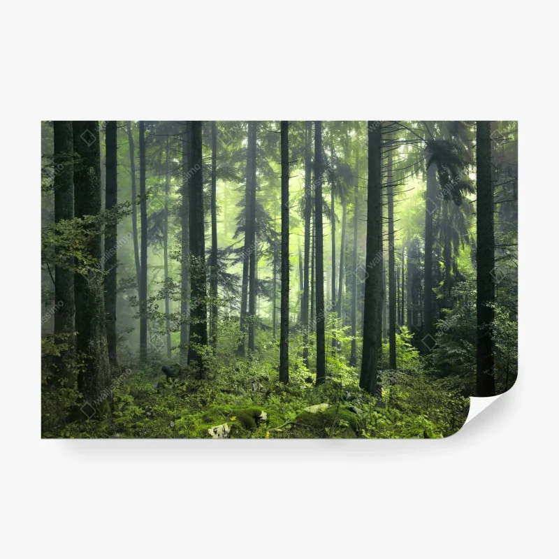 Fototapeta vintage tropikalny wzór z liśćmi – Wallissimo®