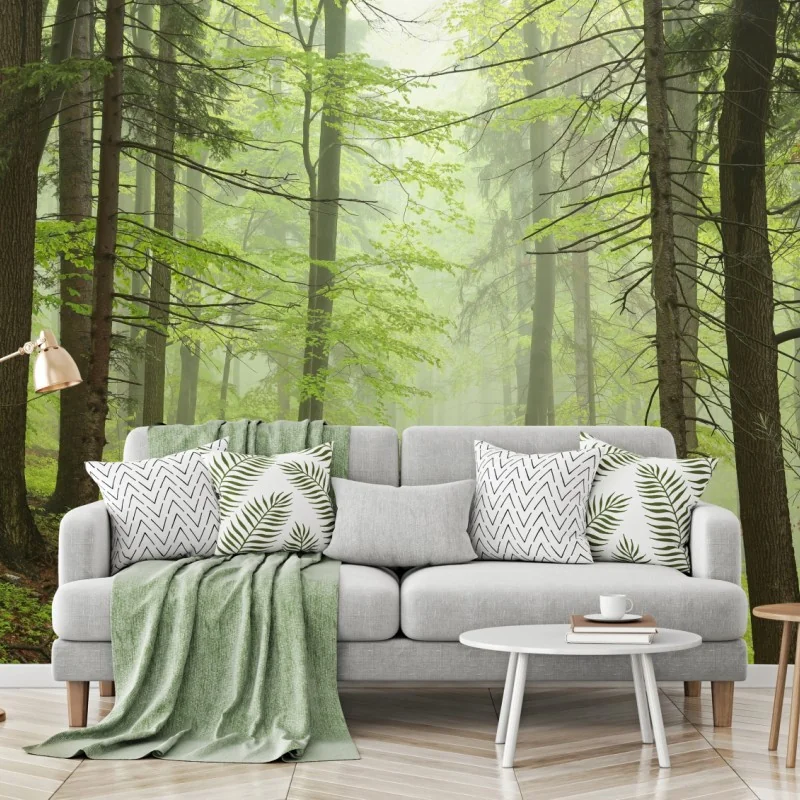 Fototapeta mglisty zielony leśny szlak – Wallissimo® Fototapeta mglisty zielony leśny szlak – Wallissimo®