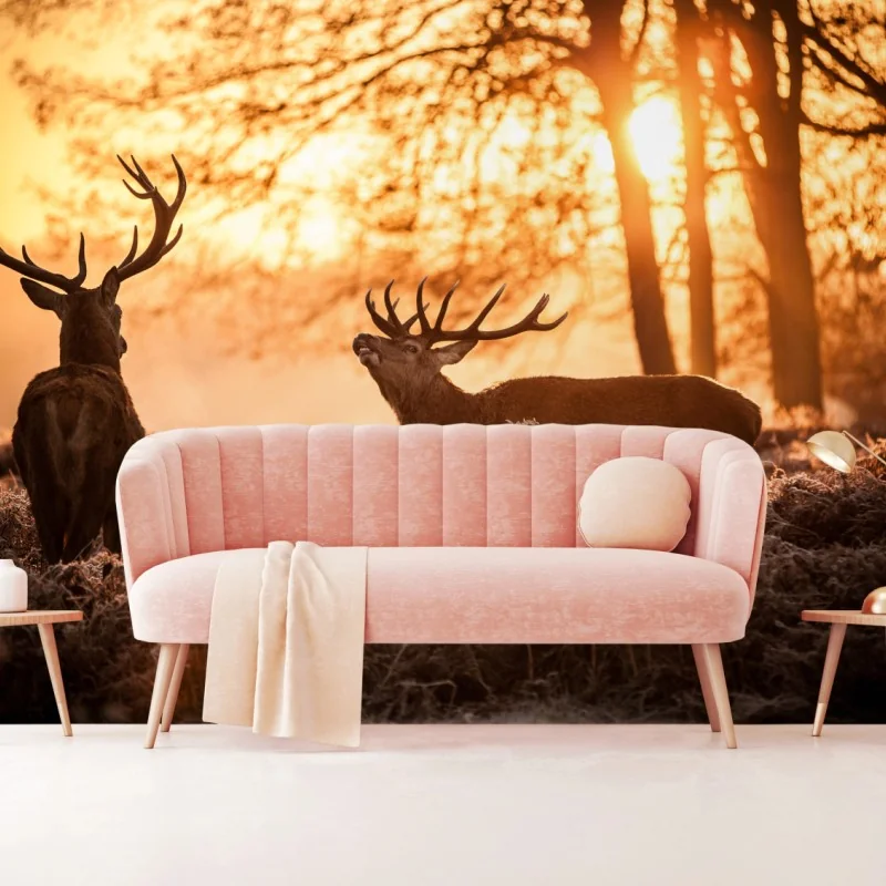 Fototapeta złocisty wschód słońca z jeleniami na mroźnej łące – Wallissimo® Fototapeta złocisty wschód słońca z jeleniami na mroźnej łące – Wallissimo®