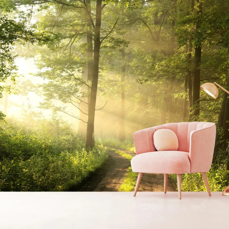 Fototapeta poranne światło w lesie – Wallissimo® Fototapeta poranne światło w lesie – Wallissimo®