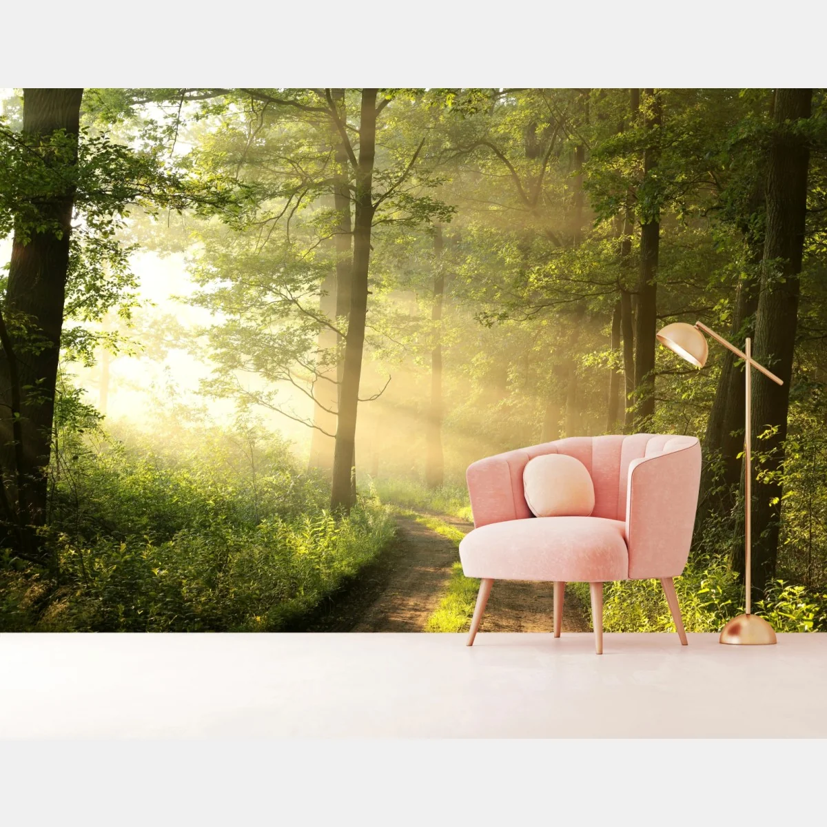 Fototapeta poranne światło w lesie – Wallissimo® Fototapeta poranne światło w lesie – Wallissimo®