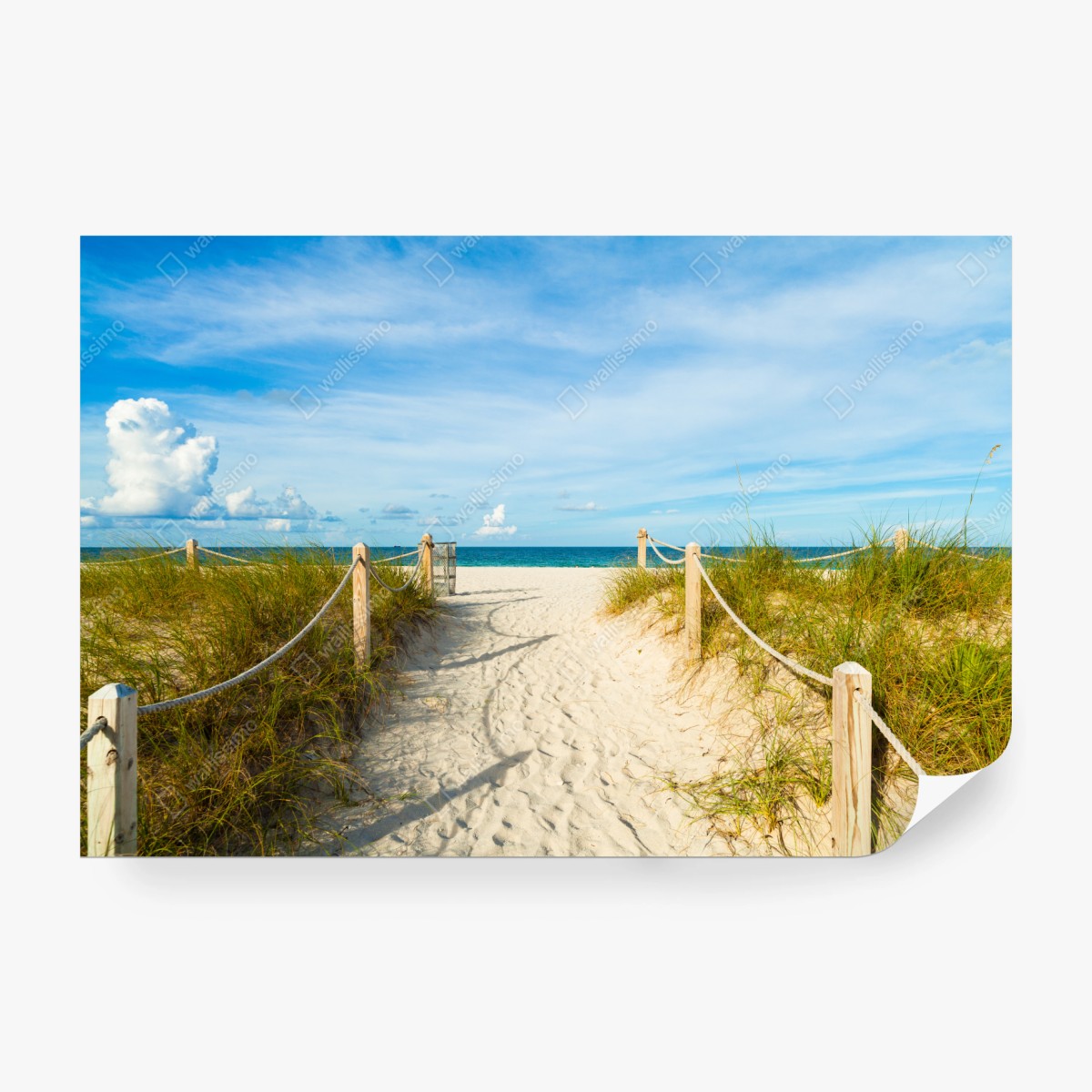 Fototapeta ścieżka na plażę w Miami – Wallissimo® Fototapeta ścieżka na plażę w Miami – Wallissimo®