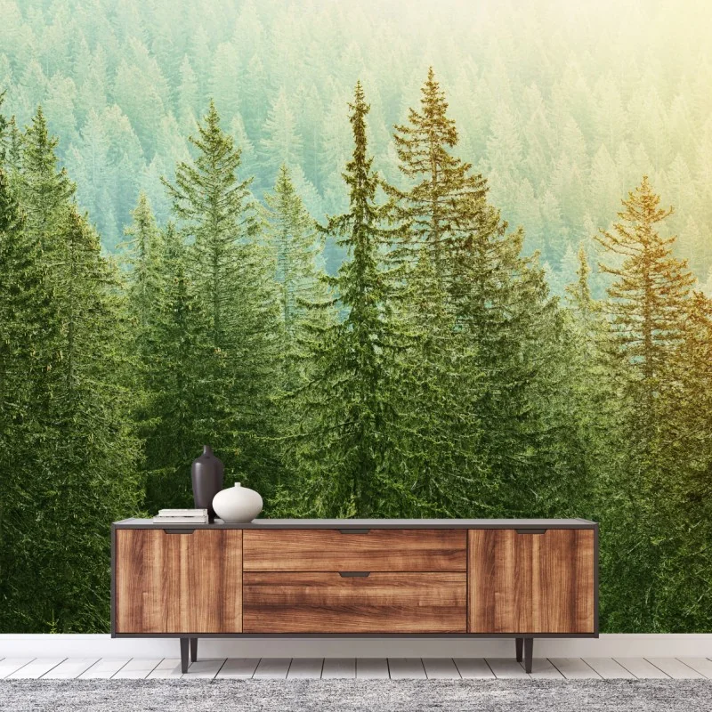 Fototapeta słoneczny las iglasty – Wallissimo® Fototapeta słoneczny las iglasty – Wallissimo®