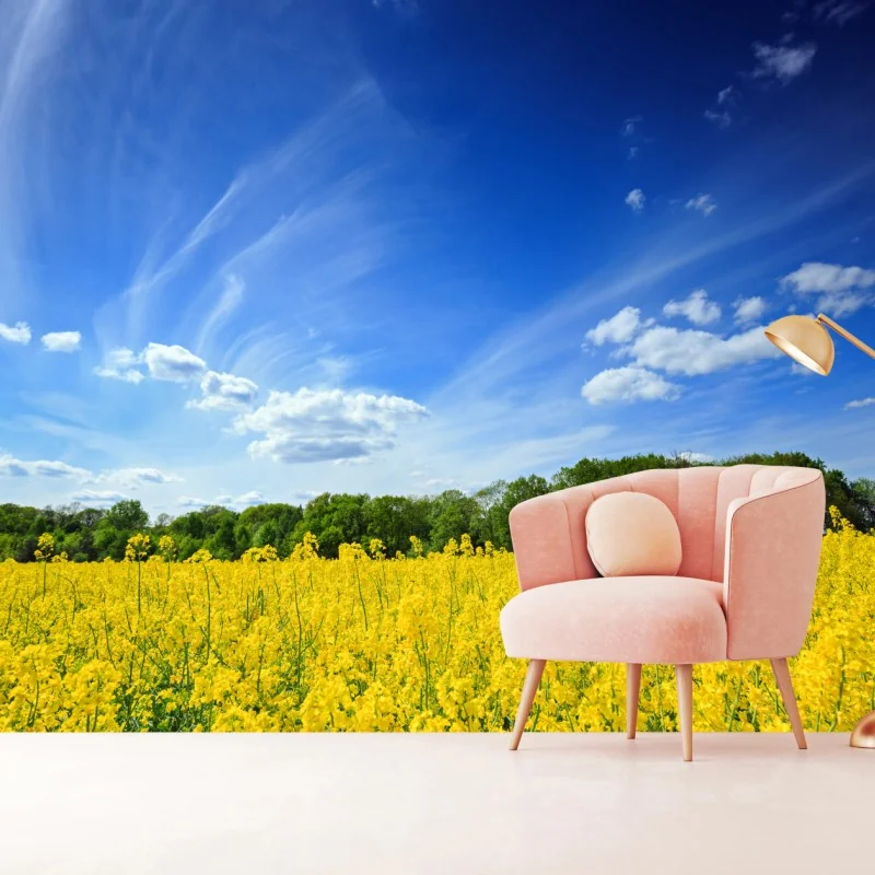 Fototapeta Polskie pole rzepaku pod błękitnym niebem – Wallissimo® Fototapeta Polskie pole rzepaku pod błękitnym niebem – Wallissimo®