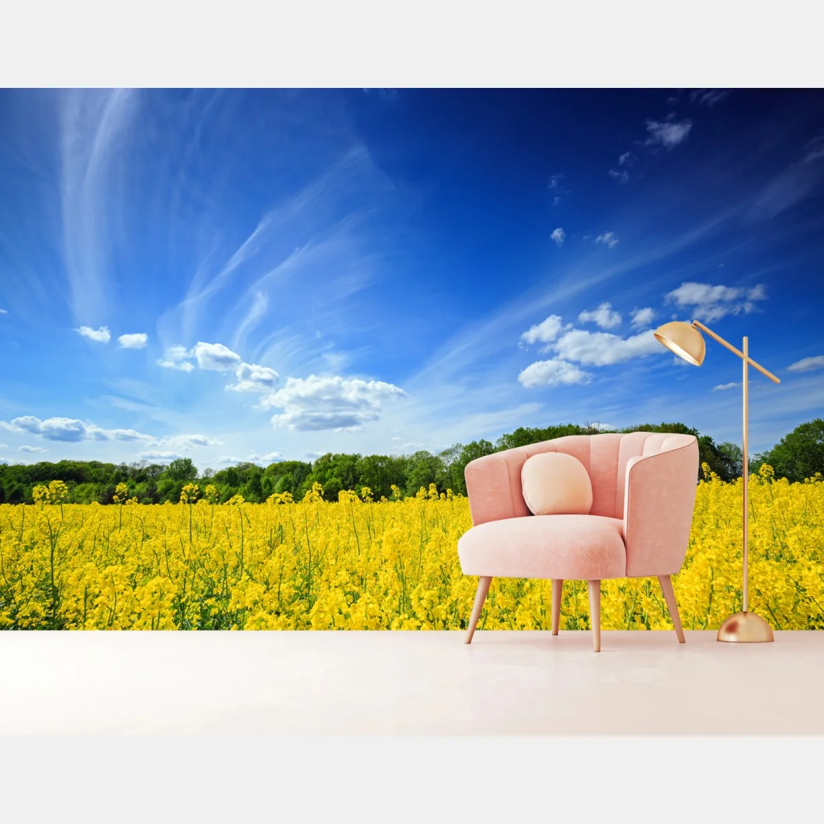 Fototapeta Polskie pole rzepaku pod błękitnym niebem – Wallissimo® Fototapeta Polskie pole rzepaku pod błękitnym niebem – Wallissimo®