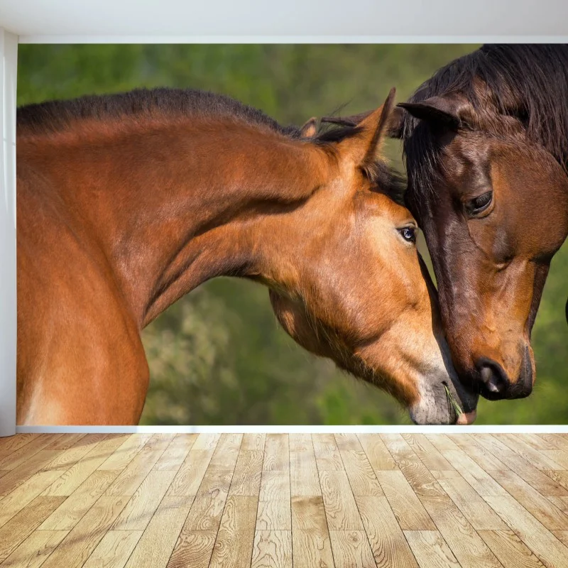 Fototapeta delikatne objęcie koni – Wallissimo® Fototapeta delikatne objęcie koni – Wallissimo®