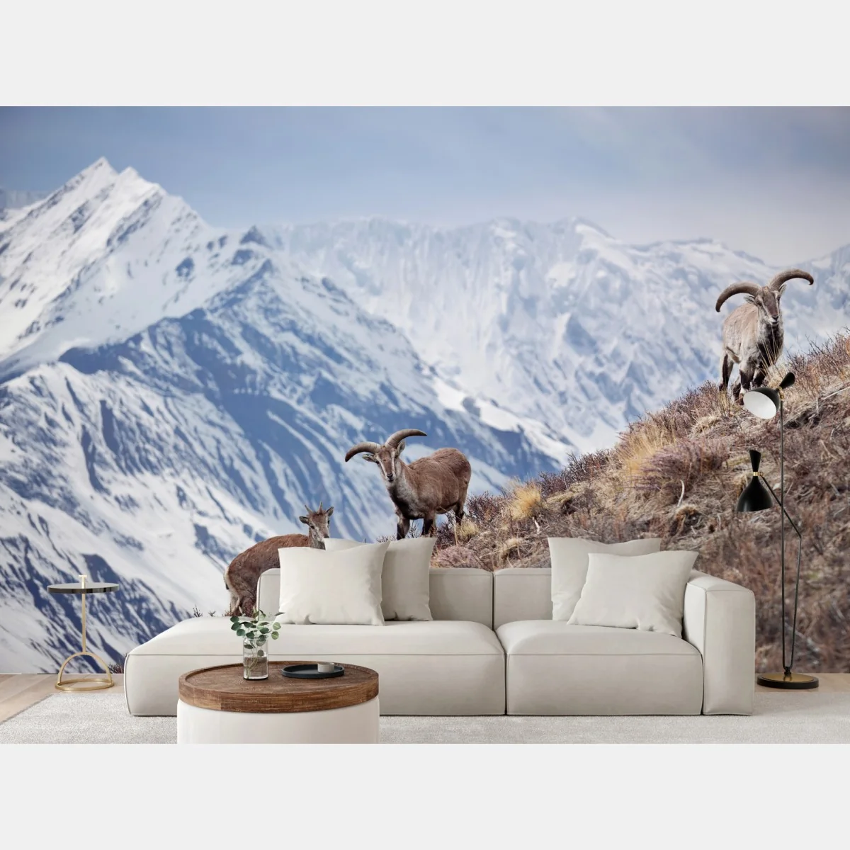 Fototapeta dzikie niebieskie owce na zboczu Himalajów, Manang, Nepal – Wallissimo® Fototapeta dzikie niebieskie owce na zboczu Himalajów, Manang, Nepal – Wallissimo®