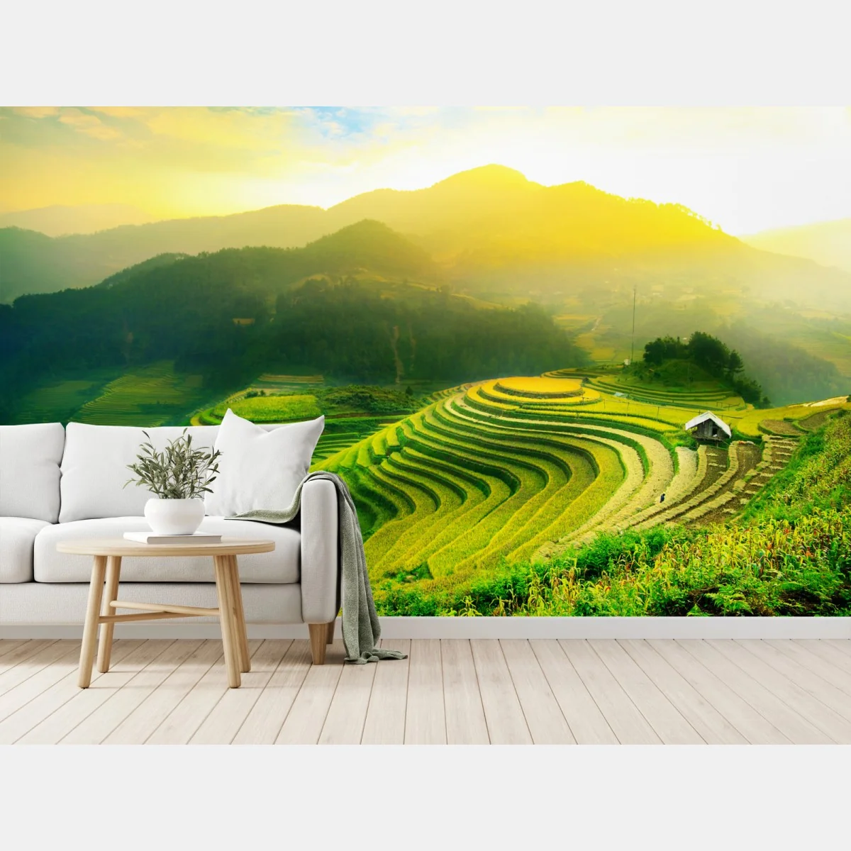Fototapeta złote tarasy ryżowe o wschodzie słońca – Wallissimo® Fototapeta złote tarasy ryżowe o wschodzie słońca – Wallissimo®