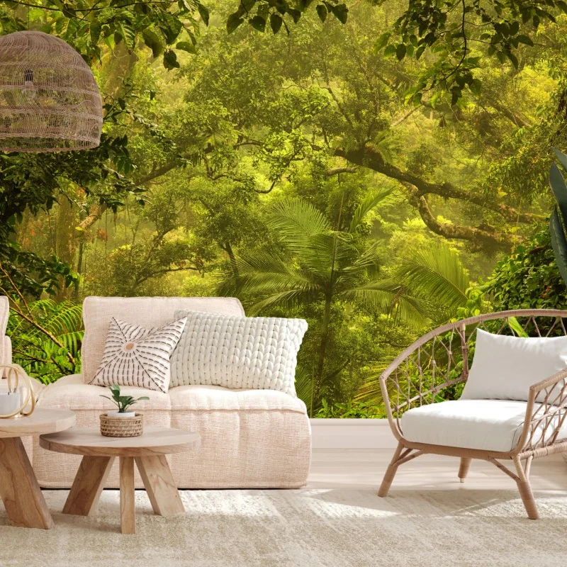 Fototapeta bujna pokrywa lasu deszczowego przy Cairns