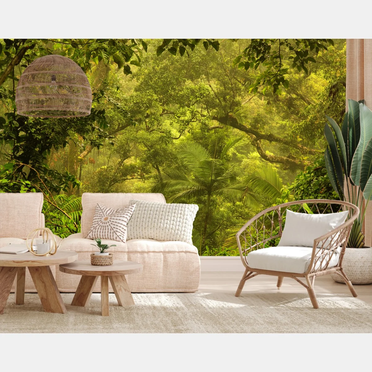Fototapeta bujna pokrywa lasu deszczowego przy Cairns – Wallissimo® Fototapeta bujna pokrywa lasu deszczowego przy Cairns – Wallissimo®