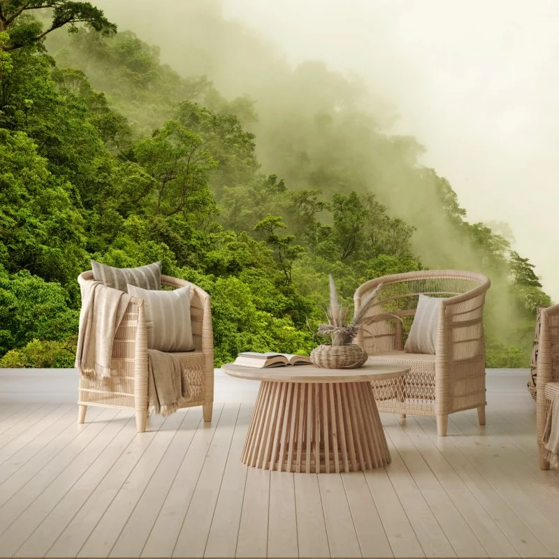 Fototapeta mglisty las deszczowy w pobliżu Cairns – Wallissimo® Fototapeta mglisty las deszczowy w pobliżu Cairns – Wallissimo®