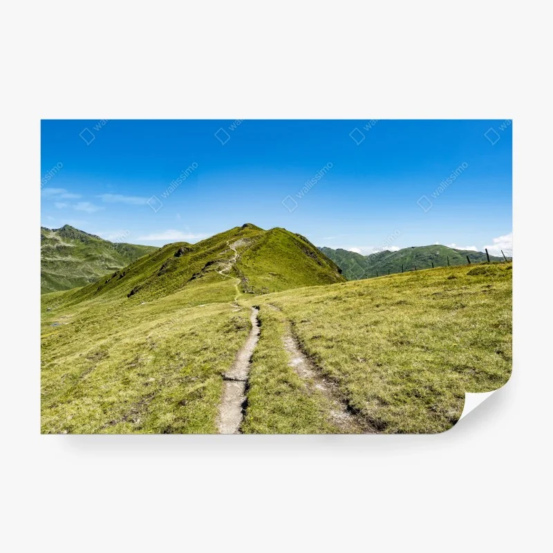 Fototapeta złote liście na czarnym tle – Wallissimo®