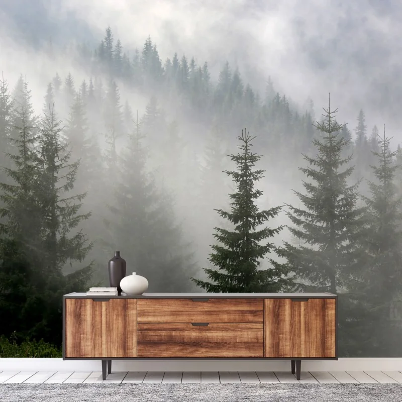 Fototapeta mglisty las sosnowy o świcie – Wallissimo® Fototapeta mglisty las sosnowy o świcie – Wallissimo®