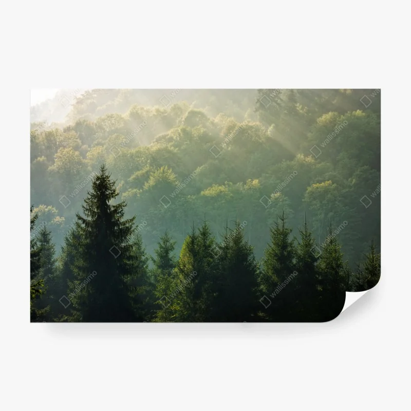 Fototapeta wzór z uśmiechniętymi buźkami – Wallissimo®