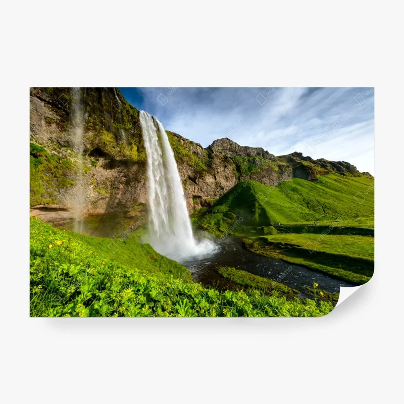 Fototapeta zabawny wzór z lisami w lesie – Wallissimo®