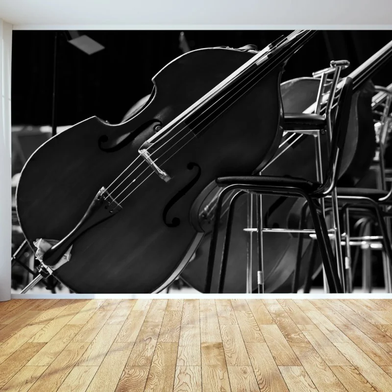 Fototapeta kontrabasy orkiestry w monochromie – Wallissimo® Fototapeta kontrabasy orkiestry w monochromie – Wallissimo®