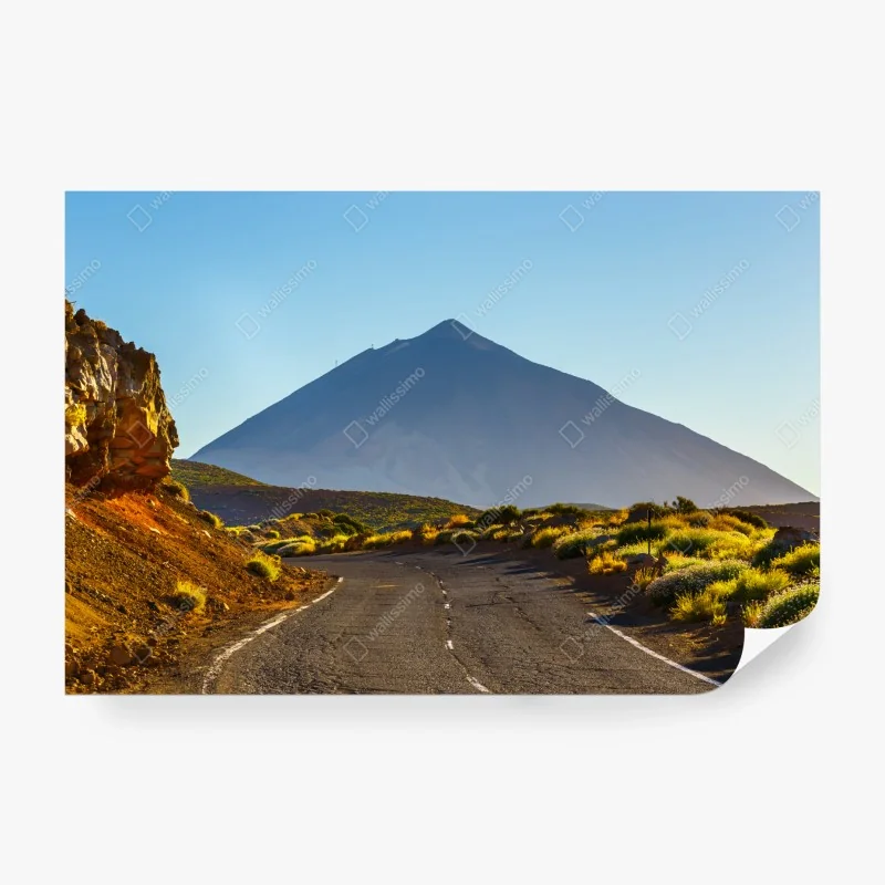 Fototapeta bujna pokrywa lasu deszczowego przy Cairns – Wallissimo®