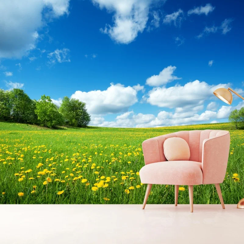 Fototapeta słoneczna łąka z mniszkami i błękitnym niebem – Wallissimo® Fototapeta słoneczna łąka z mniszkami i błękitnym niebem – Wallissimo®