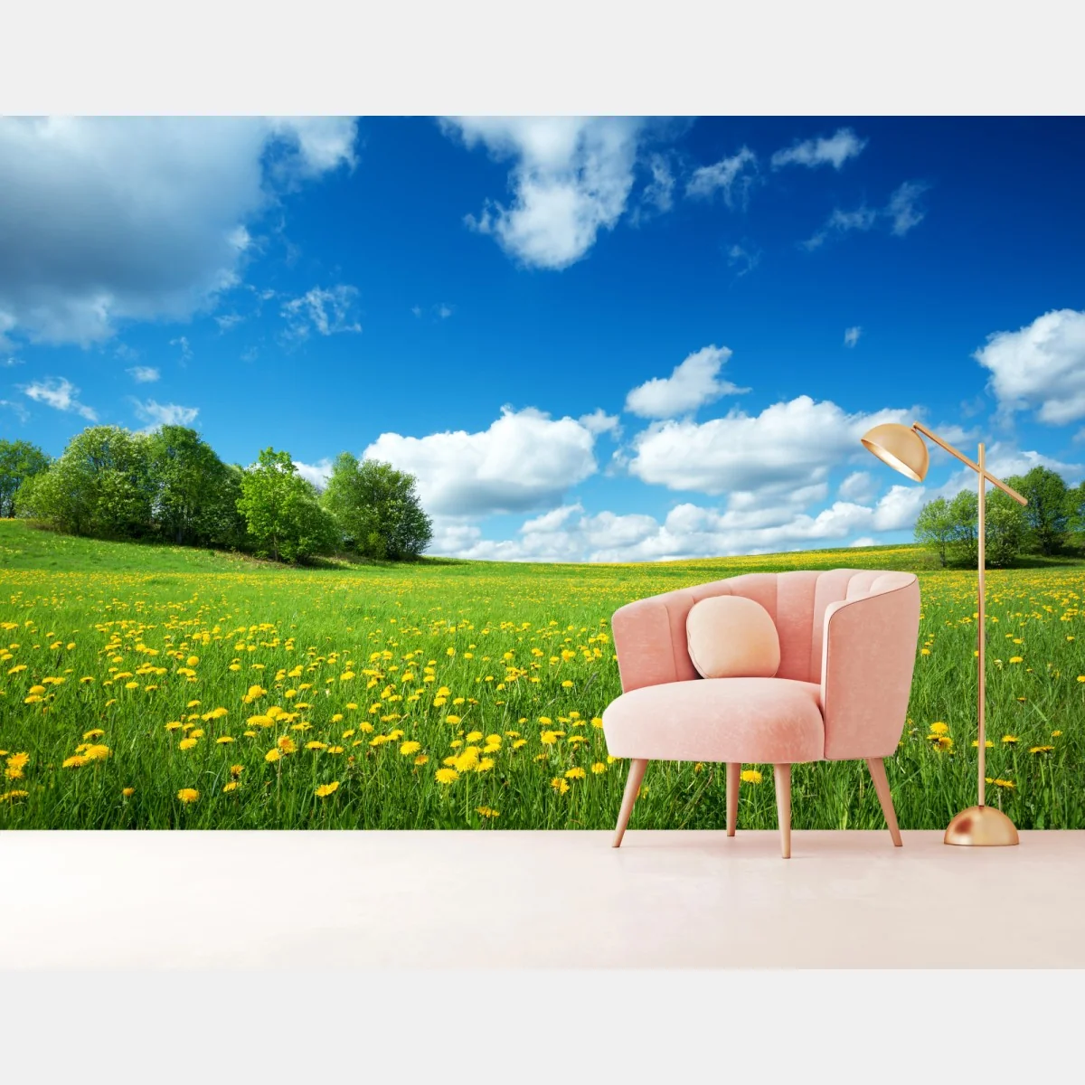 Fototapeta słoneczna łąka z mniszkami i błękitnym niebem – Wallissimo® Fototapeta słoneczna łąka z mniszkami i błękitnym niebem – Wallissimo®