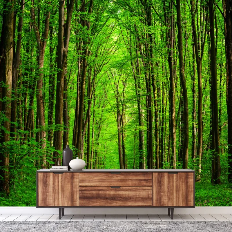 Fototapeta bujna zielona leśna ścieżka – Wallissimo® Fototapeta bujna zielona leśna ścieżka – Wallissimo®