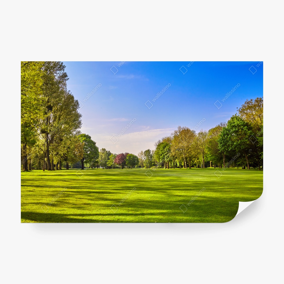 Fototapeta słoneczna panorama parku miejskiego – Wallissimo® Fototapeta słoneczna panorama parku miejskiego – Wallissimo®