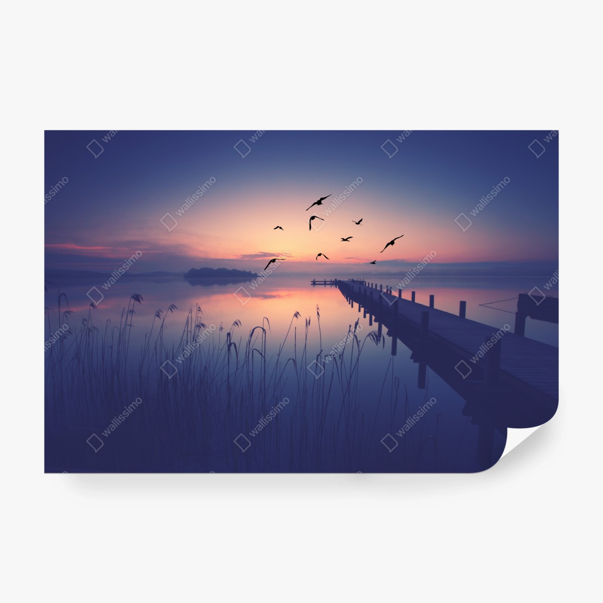 Fototapeta spokojny wschód nad jeziorem z ptakami – Wallissimo® Fototapeta spokojny wschód nad jeziorem z ptakami – Wallissimo®