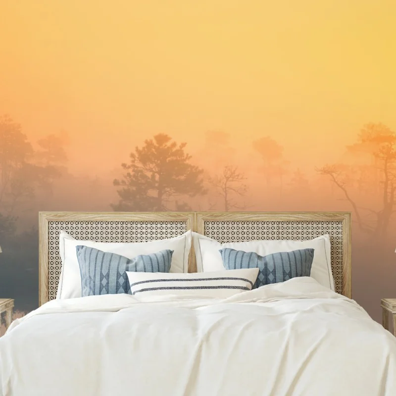 Fototapeta senny wschód słońca nad mglistym torfowiskiem – Wallissimo® Fototapeta senny wschód słońca nad mglistym torfowiskiem – Wallissimo®