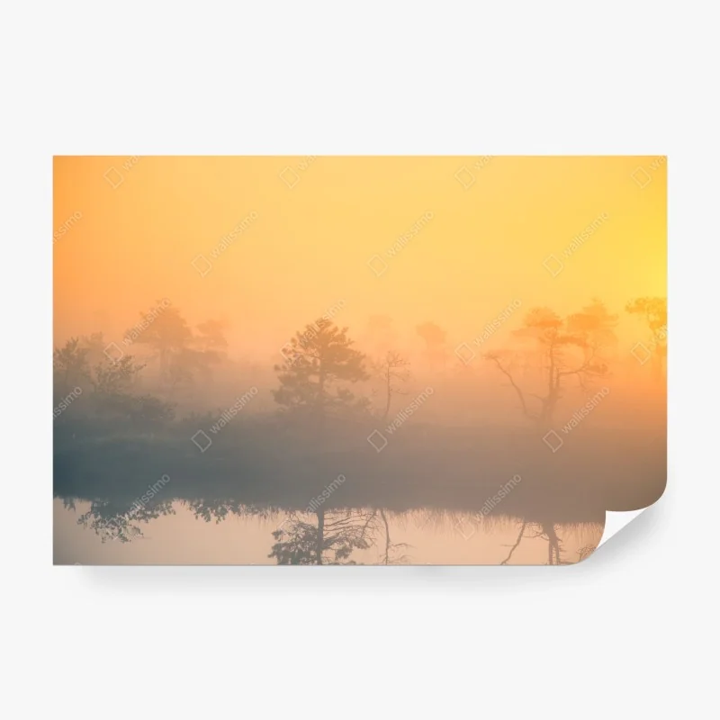 Fototapeta pastelowy geometryczny wzór z kołami – Wallissimo®