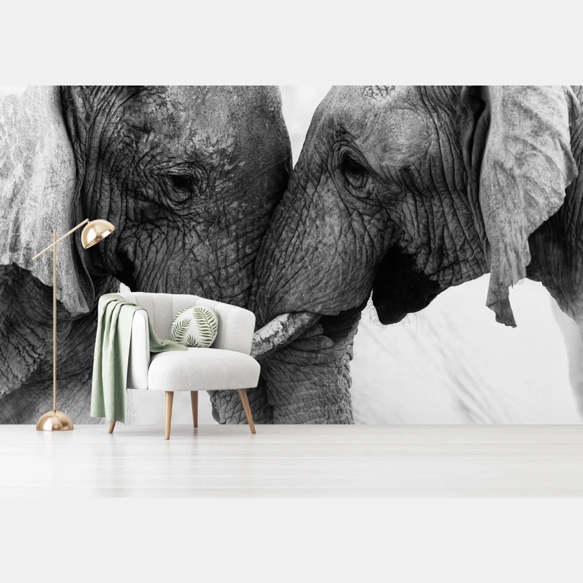 Fototapeta uścisk słoni czarno-biały portret – Wallissimo® Fototapeta uścisk słoni czarno-biały portret – Wallissimo®