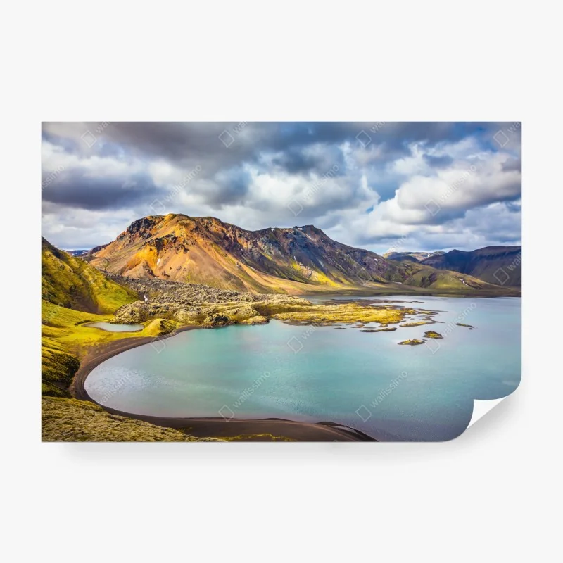 Fototapeta pastelowy wzór łusek syreny – Wallissimo®