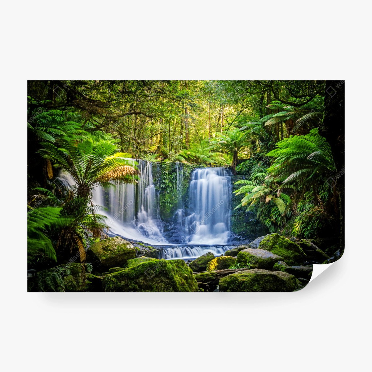 Fototapeta bujny wodospad w Mt Field National Park, Tasmania – Wallissimo® Fototapeta bujny wodospad w Mt Field National Park, Tasmania – Wallissimo®