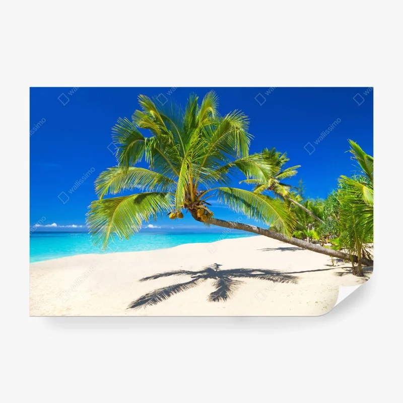 Fototapeta tropikalna plaża w Punta Cana – Wallissimo®