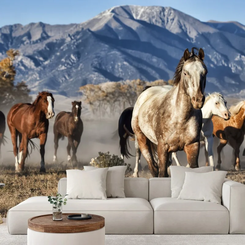 Fototapeta dzikie konie galopujące po górskiej łące – Wallissimo® Fototapeta dzikie konie galopujące po górskiej łące – Wallissimo®