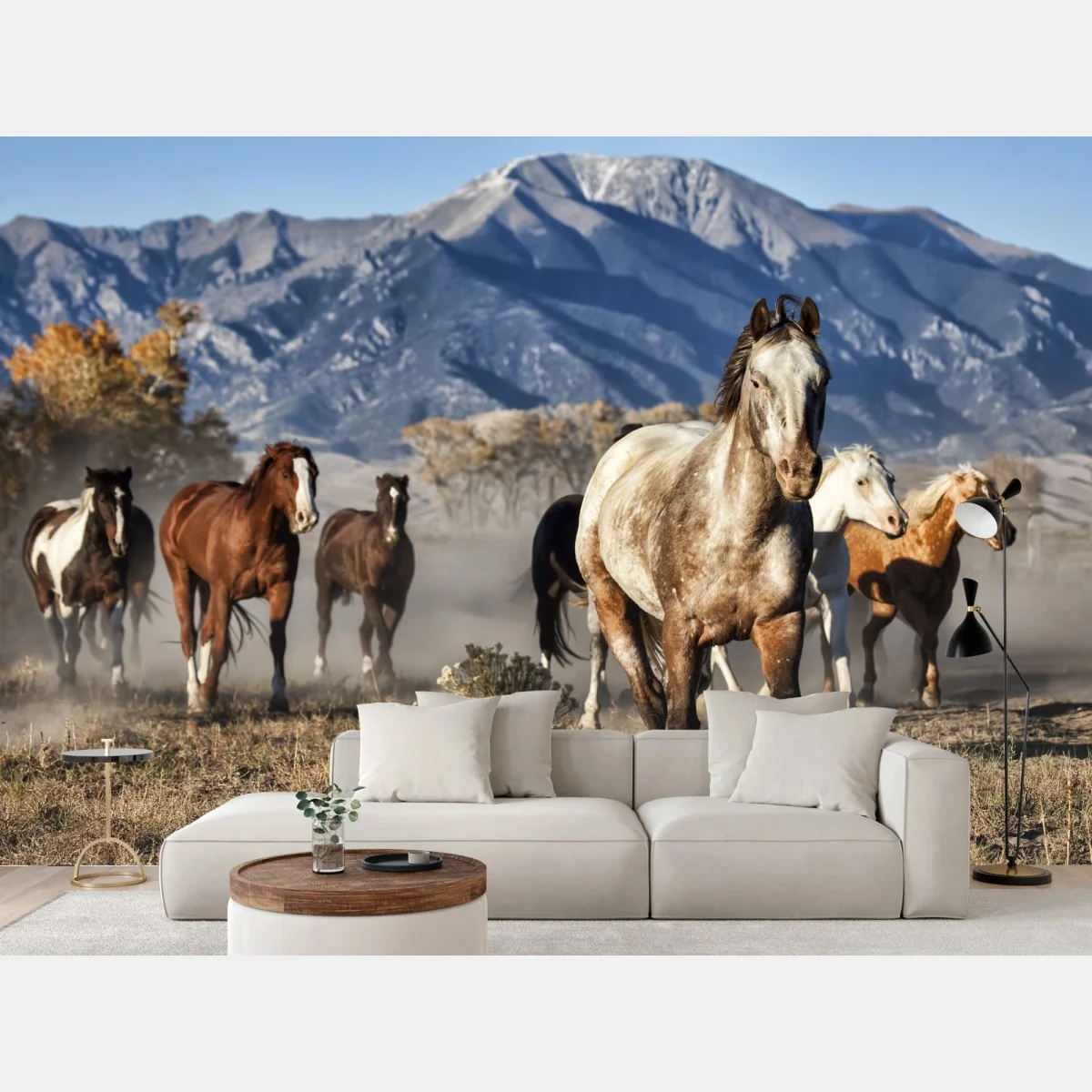 Fototapeta dzikie konie galopujące po górskiej łące – Wallissimo® Fototapeta dzikie konie galopujące po górskiej łące – Wallissimo®