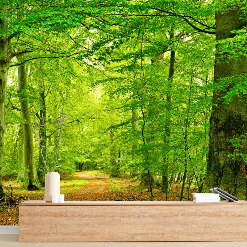 Fototapeta spokojna zielona leśna ścieżka – Wallissimo® Fototapeta spokojna zielona leśna ścieżka – Wallissimo®