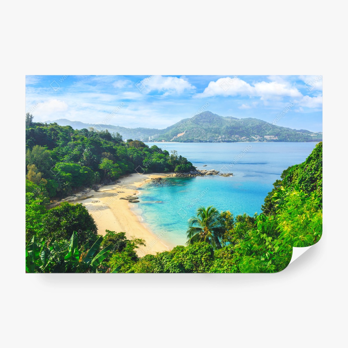 Fototapeta tropikalna turkusowa zatoka z palmami – Wallissimo® Fototapeta tropikalna turkusowa zatoka z palmami – Wallissimo®