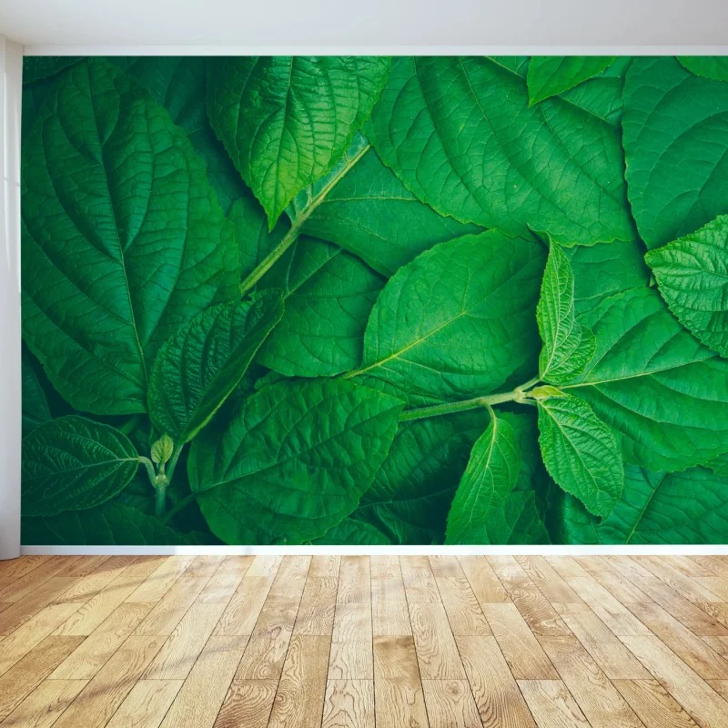 Fototapeta soczyste zielone liście – Wallissimo® Fototapeta soczyste zielone liście – Wallissimo®