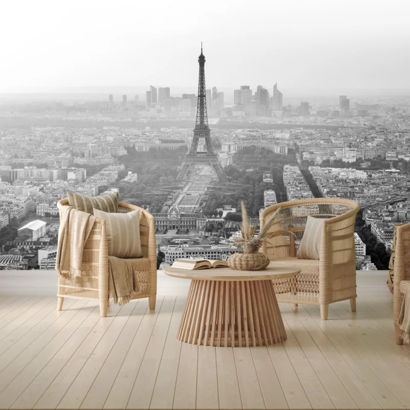 Fototapeta elegancka Wieża Eiffla panorama lotnicza w odcieniach szarości – Wallissimo®