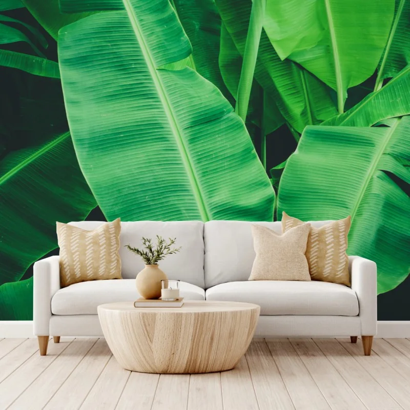 Fototapeta tropikalne liście bananowca – Wallissimo® Fototapeta tropikalne liście bananowca – Wallissimo®