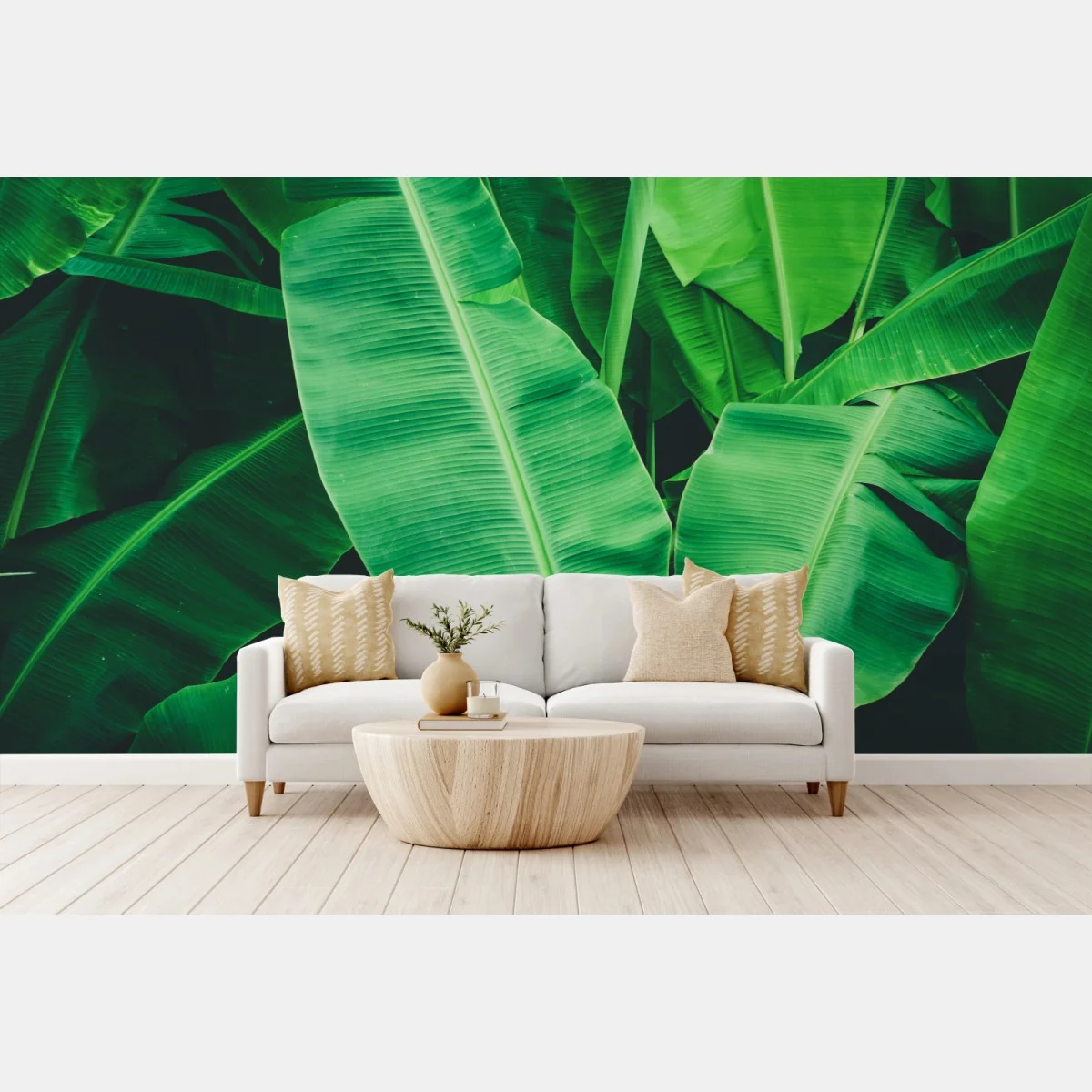 Fototapeta tropikalne liście bananowca – Wallissimo® Fototapeta tropikalne liście bananowca – Wallissimo®