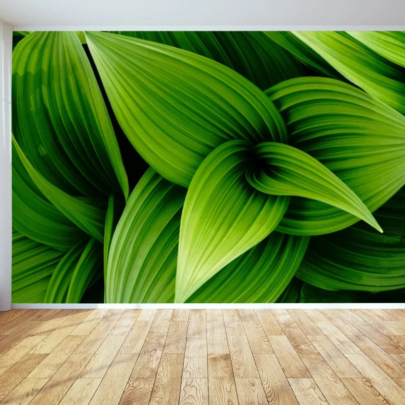 Fototapeta gęste zielone liście – Wallissimo® Fototapeta gęste zielone liście – Wallissimo®