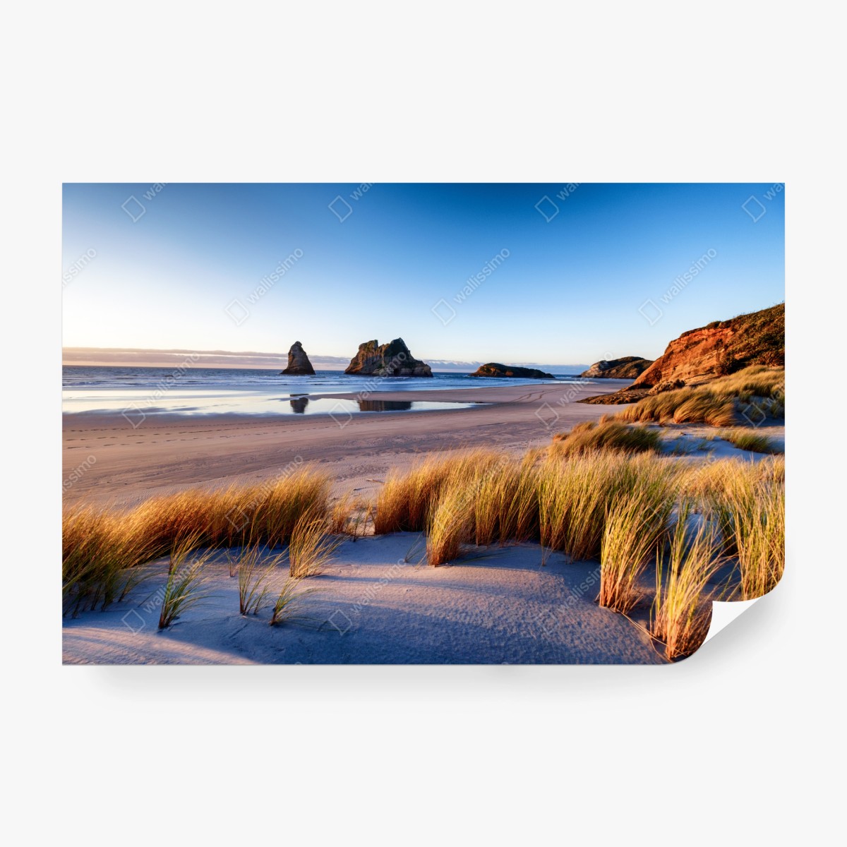 Fototapeta Wharariki Beach poranny pejzaż nad morzem – Wallissimo® Fototapeta Wharariki Beach poranny pejzaż nad morzem – Wallissimo®